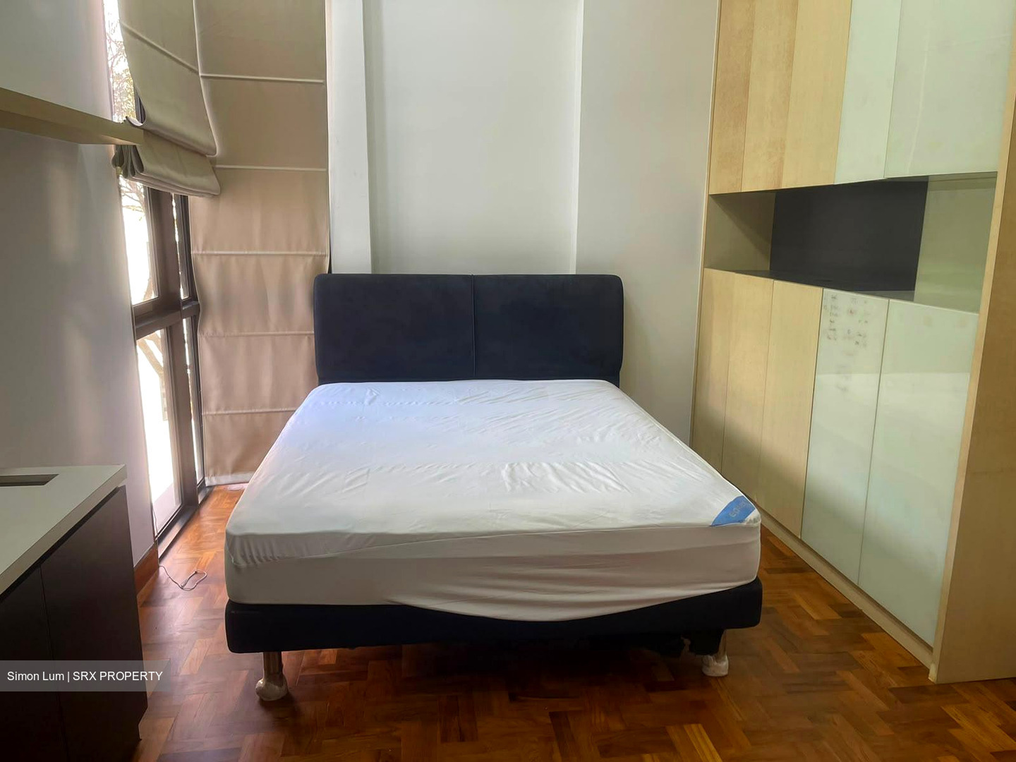 Seasons Park (D26), Condominium #567606461